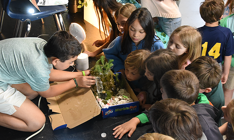 Fifth-grade-living-landsacpes-expo