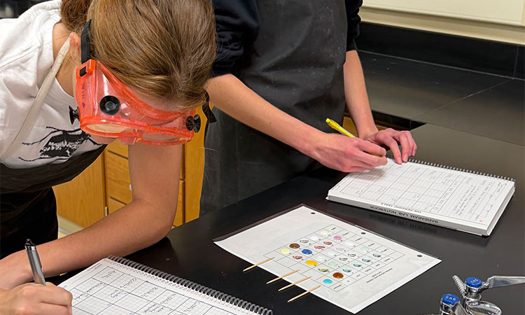 Jen-Torline-Lab AP chemistry students study 25 different reactions during a lab