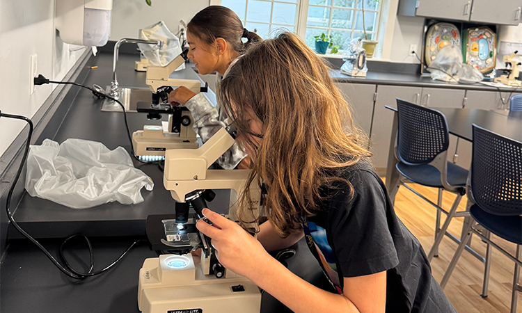 Two students look through microscopes