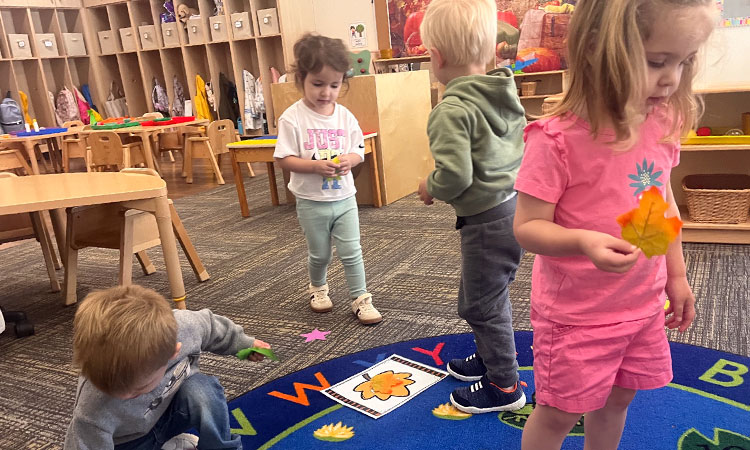 Students-find-leaves-and-sort-by-color Students find leaves and sort them by color